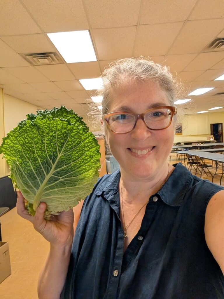 A gardener holding up a large cabbage leaf grown in the TAUM garden.